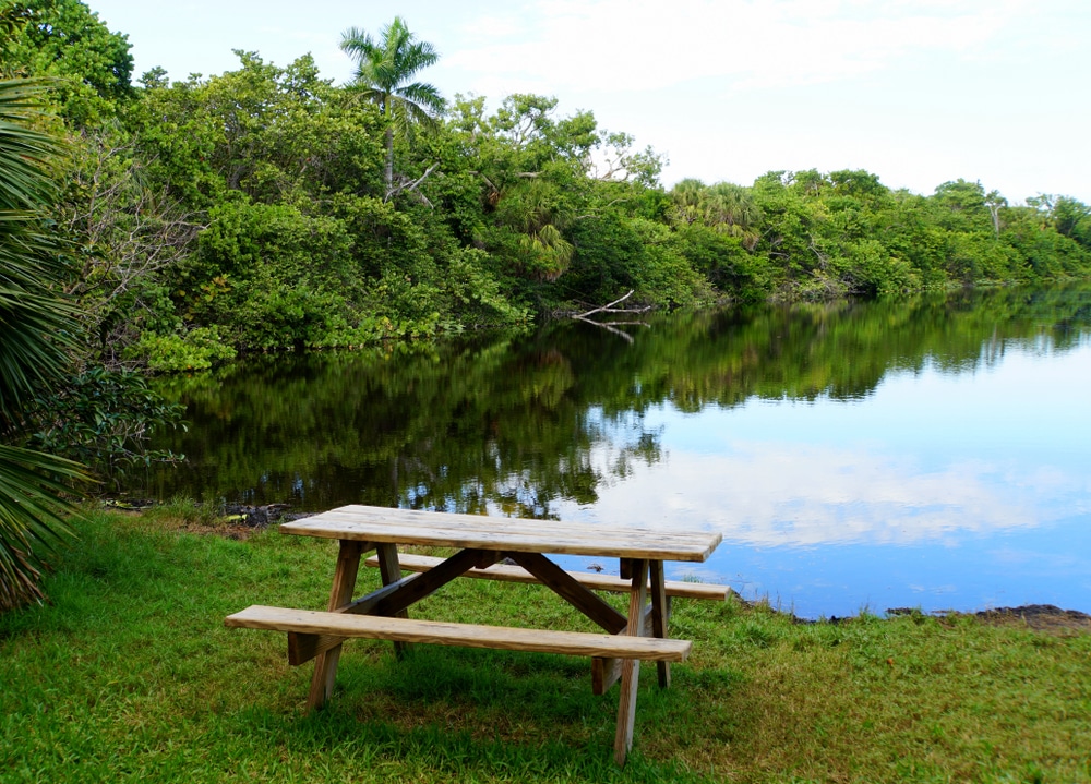 A,Picnic,Table,By,A,Beautiful,Lake,With,Green,Tropical